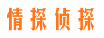 金溪侦探公司